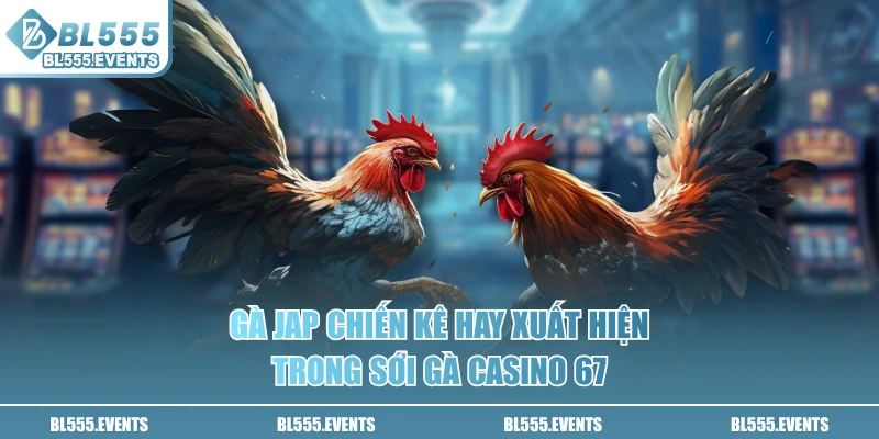 Gà Jap chiến kê hay xuất hiện trong sói gà casino 67
