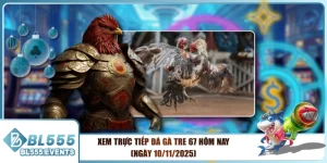 Xem Trực Tiếp Đá Gà Tre 67 Hôm Nay (Ngày 10/11/2025)